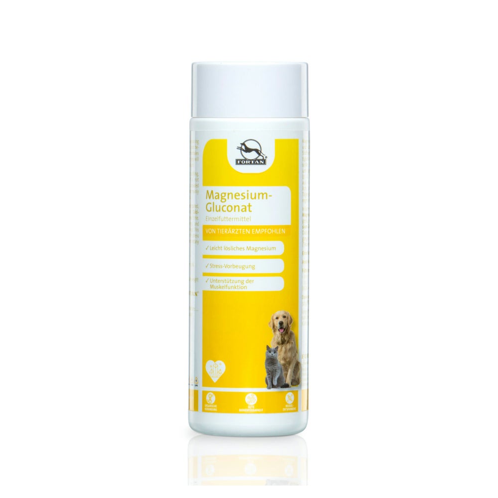 FORTAN Magnesium-Gluconat Pulver 300 g