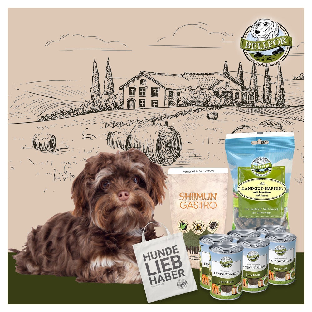 Bellfor Futterset für kleine Hunde mit Verdauungsproblemen 2,650 g 2650 g