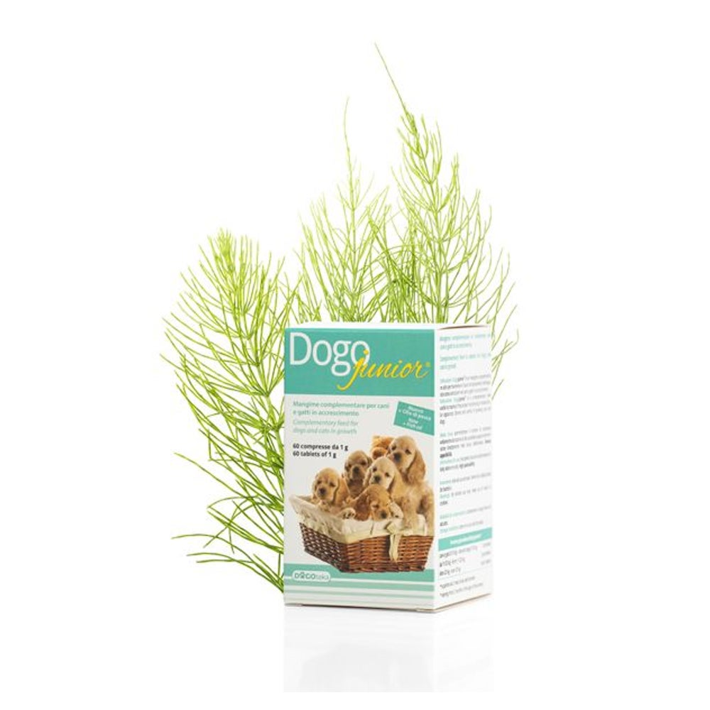 DogoJunior 60 g