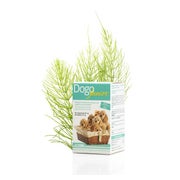 DogoJunior 60 g