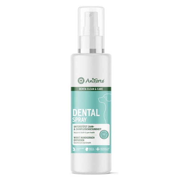 Denta Clean & Care Dentalspray 100 ml