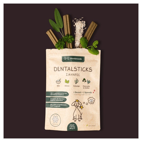 Dental Stick Traumfänger 42 stk. 42 St