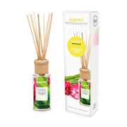 pajoma® Raumduft 100 ml inkl. Duftstäbchen, Lemongras Ginger 100 ml
