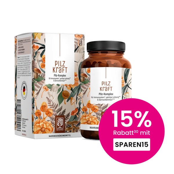 Pilz Komplex mit Chaga, Reishi, Shiitake, Hericium & B Vitaminen - PILZKRAFT - 120 vegane Kapseln - NATURTREU® 120 St