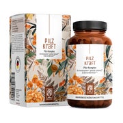 Produktabbildung: Pilz Komplex mit Chaga, Reishi, Shiitake, Hericium & B Vitaminen - PILZKRAFT - 120 vegane Kapseln - NATURTREU® 120 St