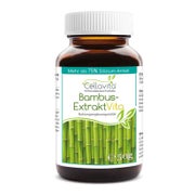 Bambusextrakt 50 g