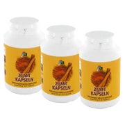 Avitale Zimt Kapseln 500 mg 3X120 St