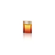 TOUS MAN SPRITZ edt vapo 100 ml 0,1 l