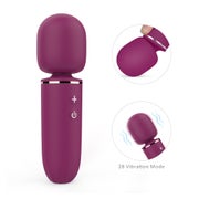 Surprise two - Wand Massager 1 St
