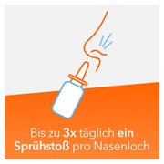 Nasenspray ratiopharm Erwachsene oK 2X10 ml