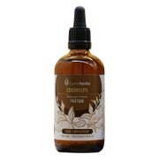 Cordyceps Tinktur 1: 5 (100 ml) 100 ml