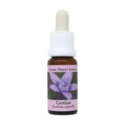 PHI Essences – Gentian Bachblüte Nr. 12 – 1 St