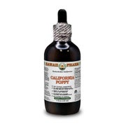 Kalifornischer Mohn Alkoholfrei Flüssigextrakt 1 St