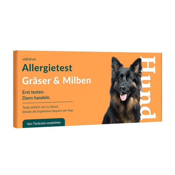Allergietest - Gräser, Milben & Co. Hund 1 St