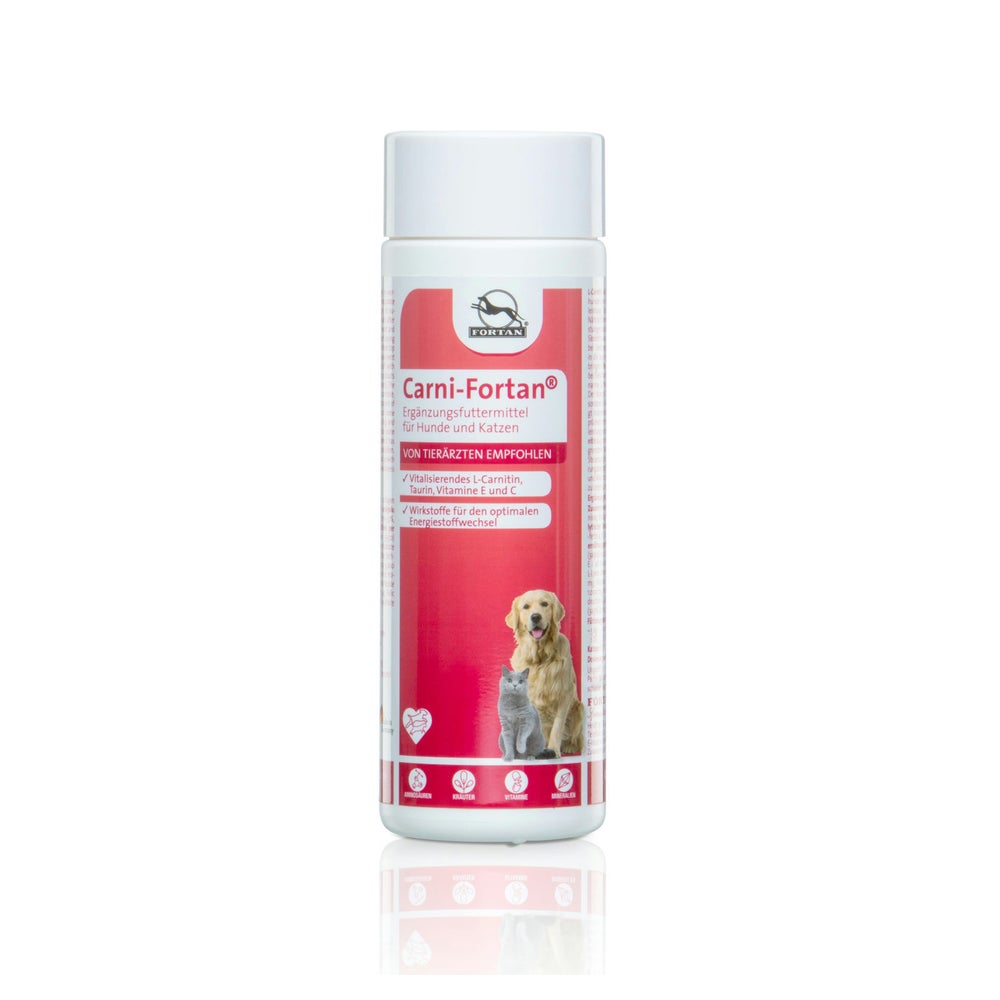 Carni-Fortan Pulver –  mit L-Carnitin & Taurin 300 g