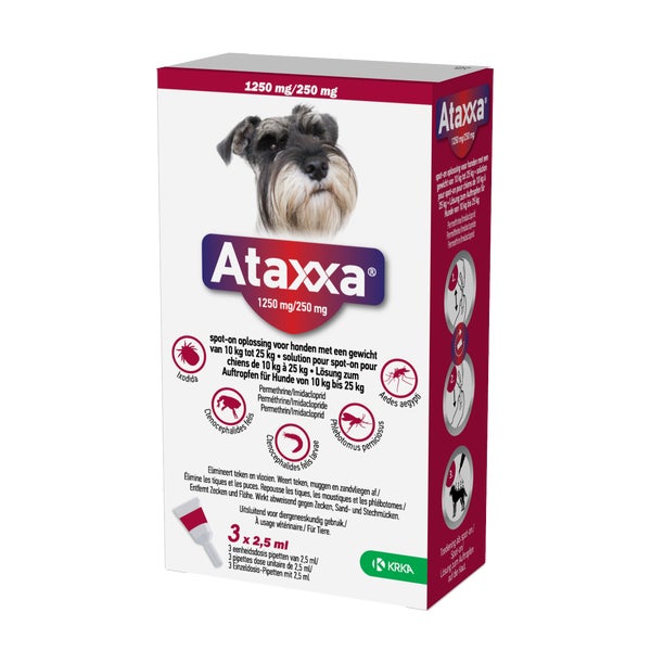 Ataxxa 1250 mg/250 mg Lsg.z.A. für Hunde von 10 kg - 25 kg 3 St