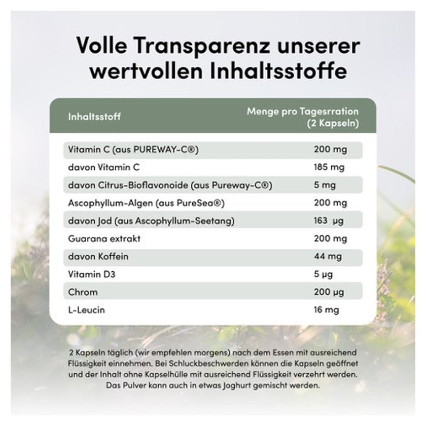 Steiger Naturals Stoffwechselkur Kapseln 60 St
