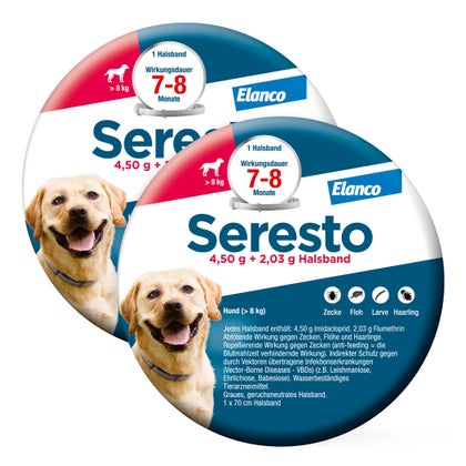 angelruten sportex Sportex Illusion (Casting) » HechtundBarsch.de main image 0