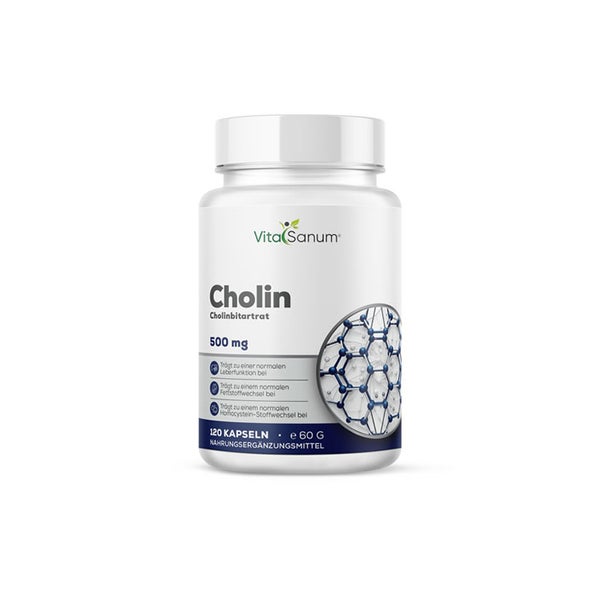 VitaSanum® Cholin 500 mg – Cholinbitartrat – 120 Kapseln  St
