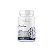 VitaSanum® Cholin (als Cholinbitartrat) – 1000 mg Tagesportion 120 St