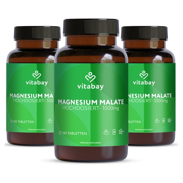 Vitabay Magnesium Malate 1000mg 540 St