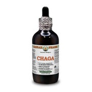 Chaga Alkoholfrei Flüssigextrakt 1 St