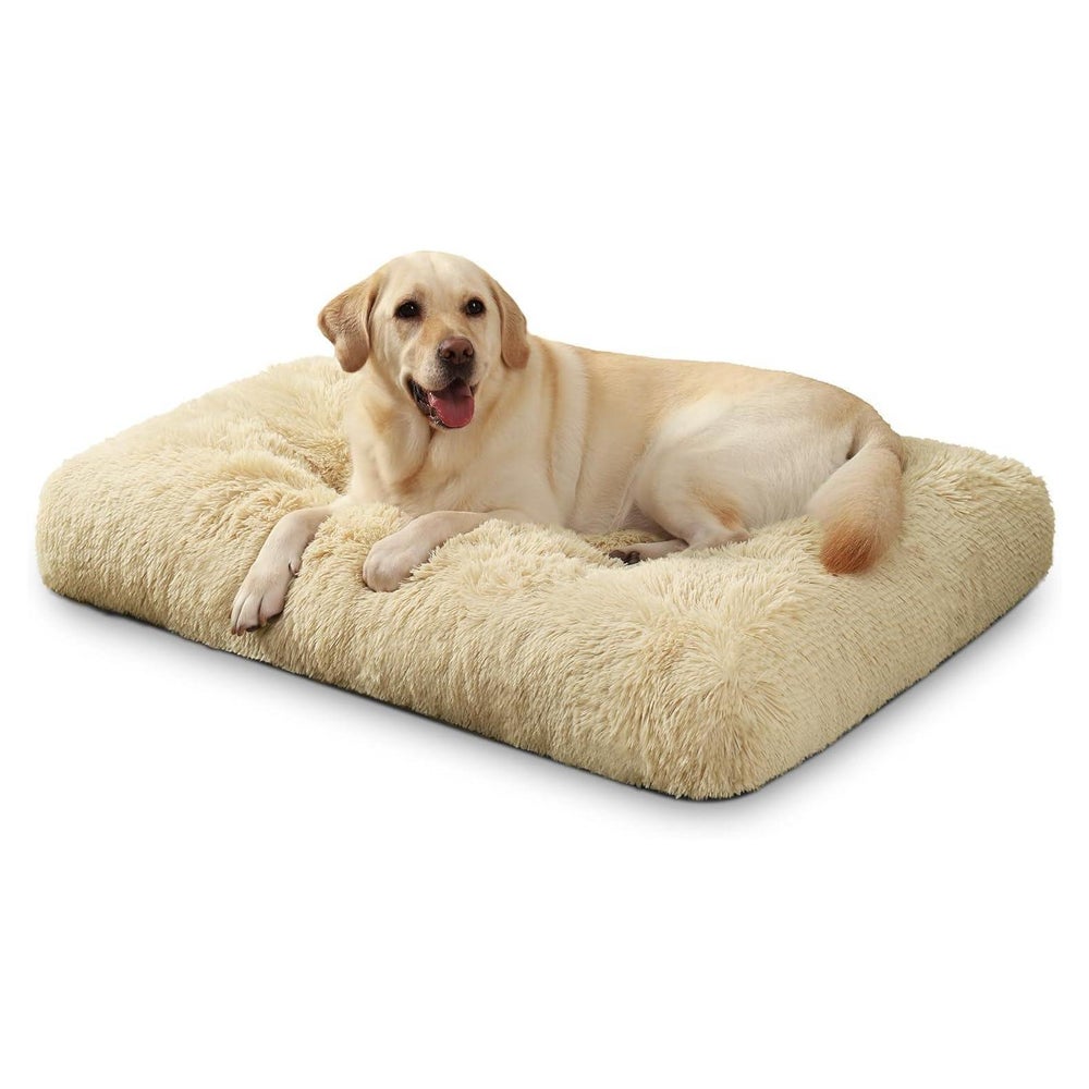 Hundebett große Hunde waschbar Plüsch Beige L 105 x B 70 x H 1 St