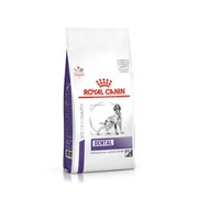 ROYAL CANIN Dog dental 13 kg