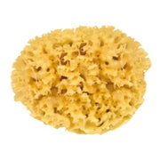 Naturschwamm Badeschwamm aus dem Mittelmeer Ø circa 15 cm 1 St