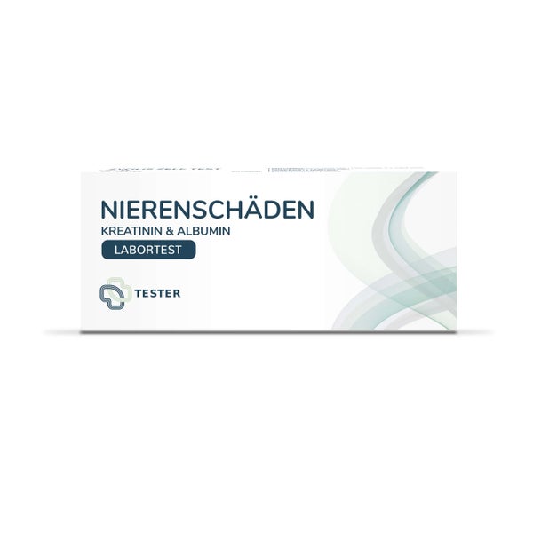 Nierenverletzung Test 1 St