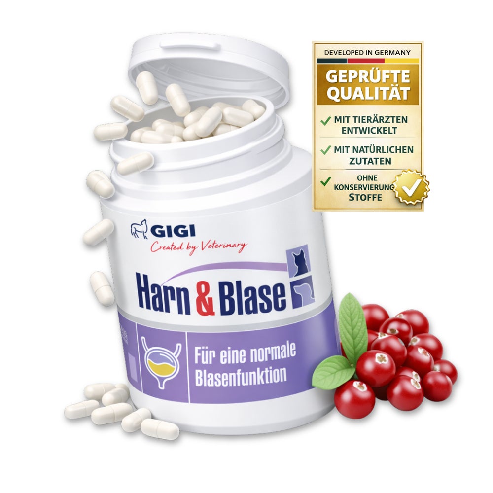 GIGI VET Harn & Blase 90 St