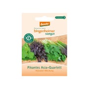 Bingenheimer Saatgut - Pikantes Asia-Quartett, Salatmischung