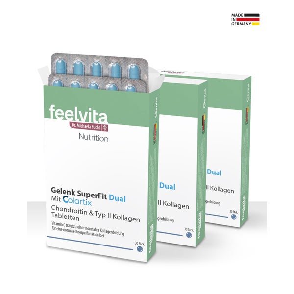 Feelvita Nutrition Gelenk SuperFit Dual Tabletten 90 St