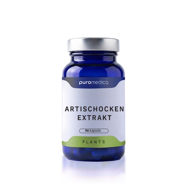 Artischokenblätterextrakt 90 St