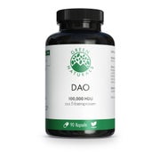 GREEN NATURALS DAO 100 mg vegan zum Histaminabbau 90 St