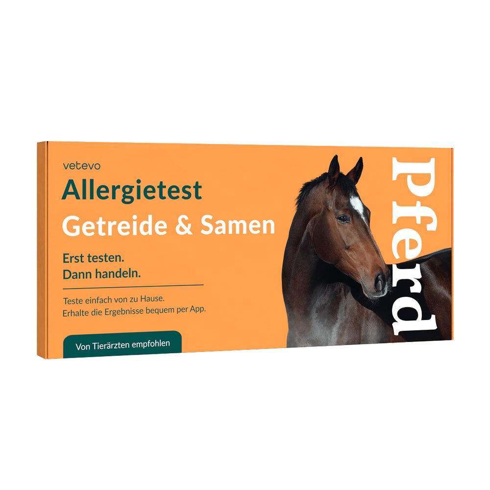 Allergietest - Getreide, Samen & Nüsse Pferd 1 St
