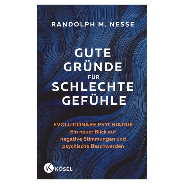 Gute Gründe für schlechte Gefühle 1 St