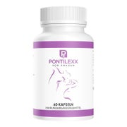 Pontilexx für Frauen | Vitalität | Schnell & Extrem 60 St