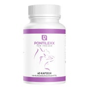 Pontilexx | Potenzmittel | 60 Stück | Schnell & Extrem 60 St