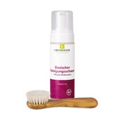 GREENDOOR Reinigungsschaum Kombi 2 St