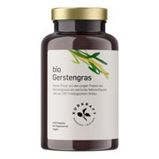 Kurkraft© Bio Gestengras 240 St