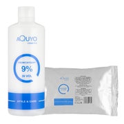 Blondierpulver 500g + Creme Oxydant Entwickler 9% (500ml) 1 St