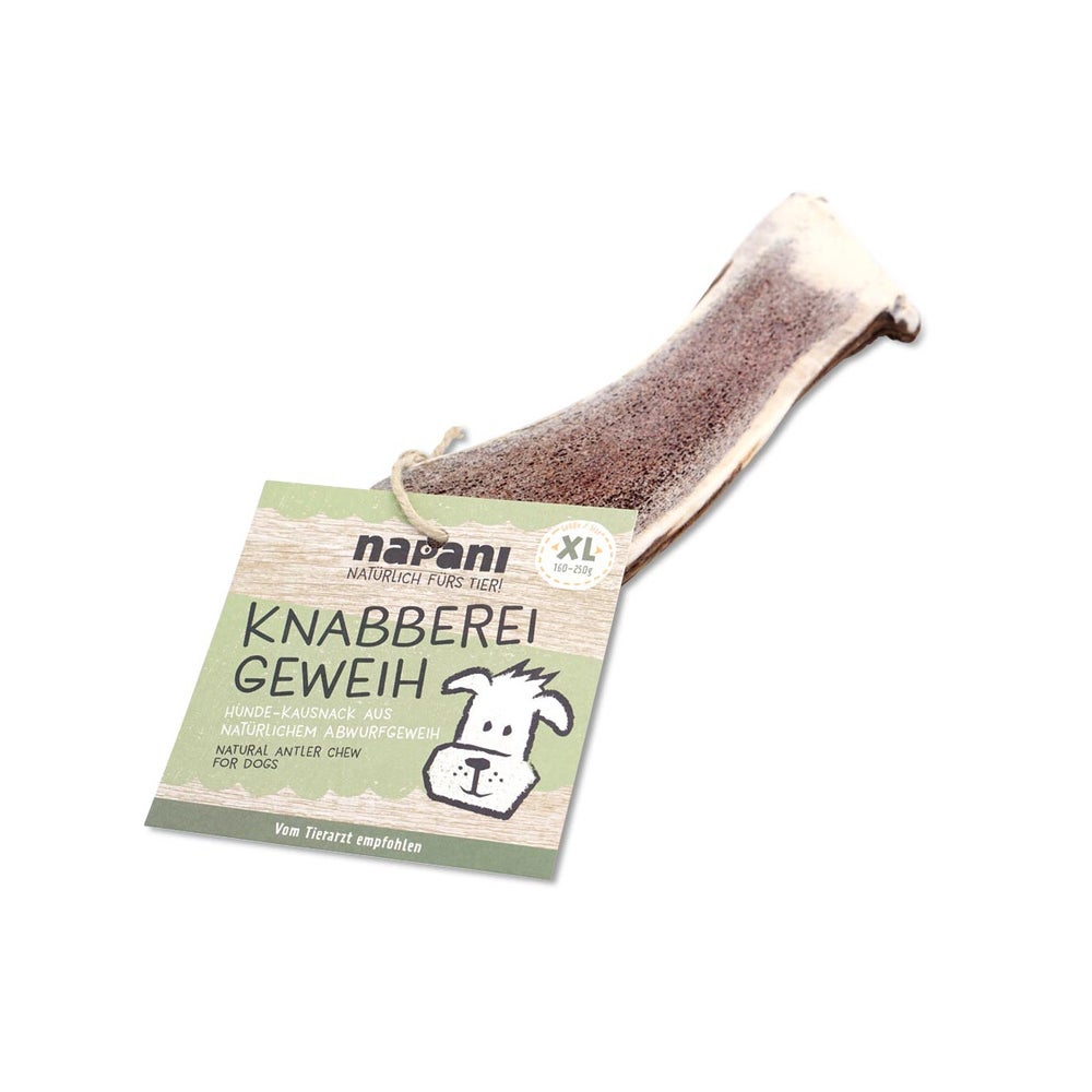Hirschgeweih für Hunde, halb XL 1 St
