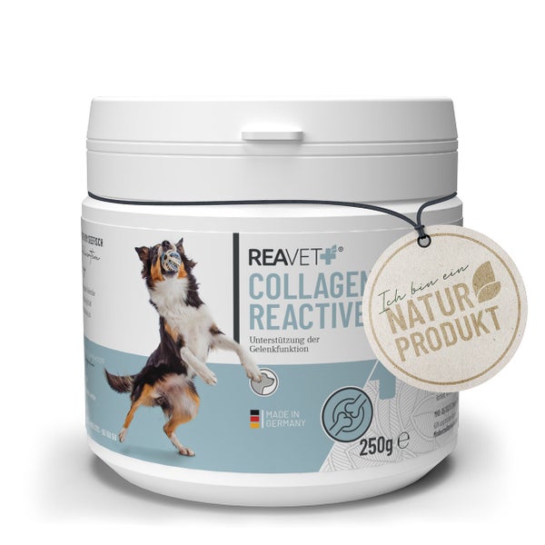 Collagen Reactive 250 g