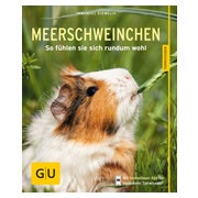 Meerschweinchen