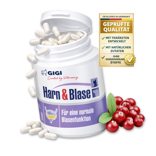 GIGI VET Harn & Blase 14 St