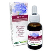 Naturalma Bleiwurz Ceratostigma willmottianum Tropfen 30 ml