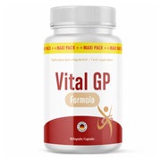 VITAL GP Formula Kapseln | Stoffwechsel | 90 Stück 90 St