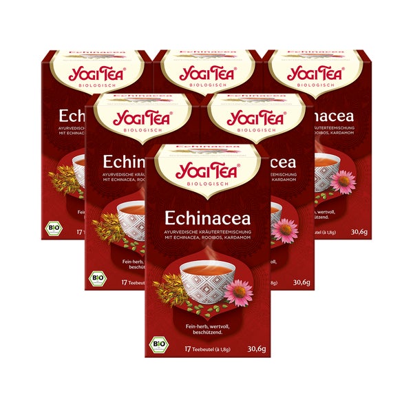 Yogi Tea - Echinacea Bio Kräutertee | 6 x 30,6g 6x17 St