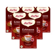 Yogi Tea - Echinacea Bio Kräutertee | 6 x 30,6g 6x17 St